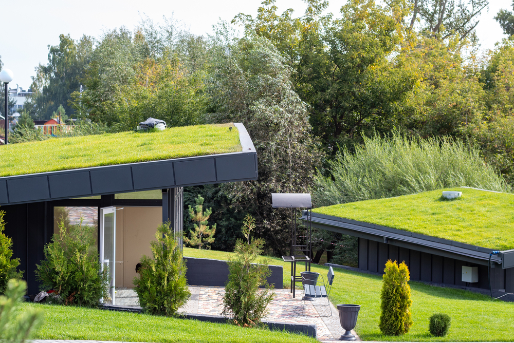 Les avantages de l’installation d’un toit vert