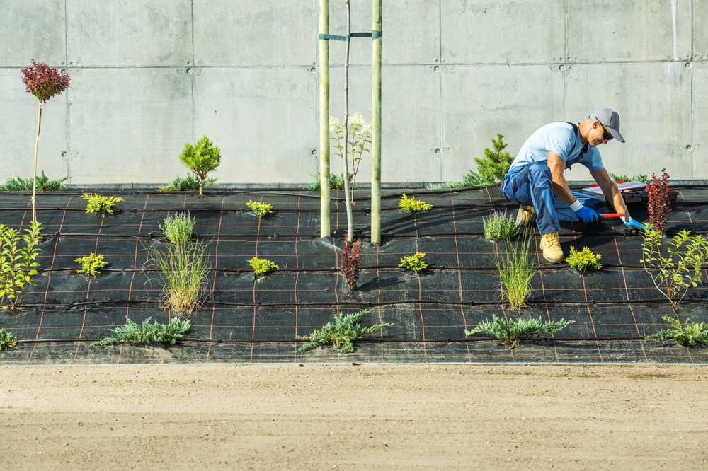 Combien coûte l’aménagement complet d’un jardin en Belgique ?